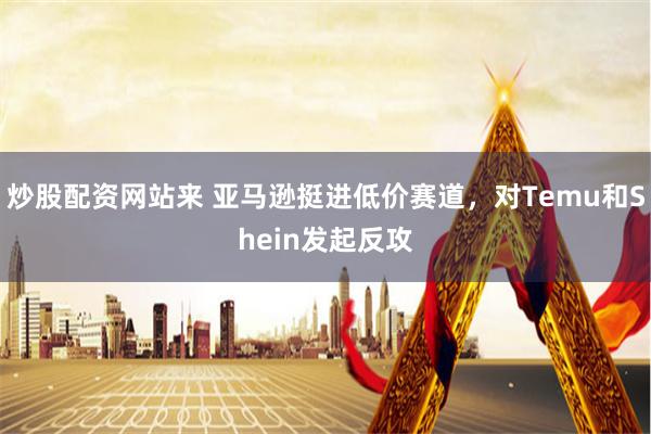 炒股配资网站来 亚马逊挺进低价赛道，对Temu和Shein发起反攻