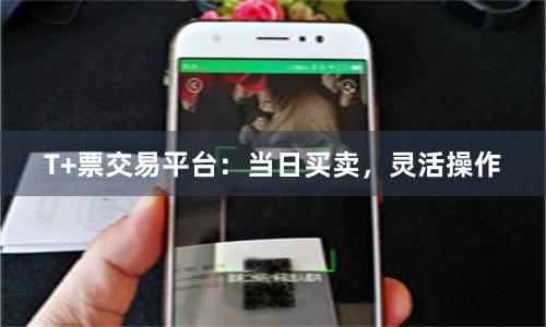 T+票交易平台：当日买卖，灵活操作